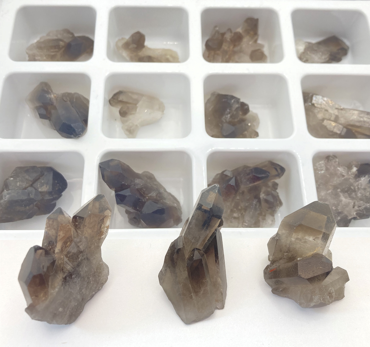 Présentoir 12 pièces cristal de roche Fumés du Brésil